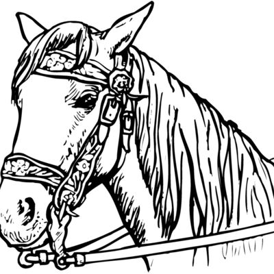 HORSE005 Thumbnail