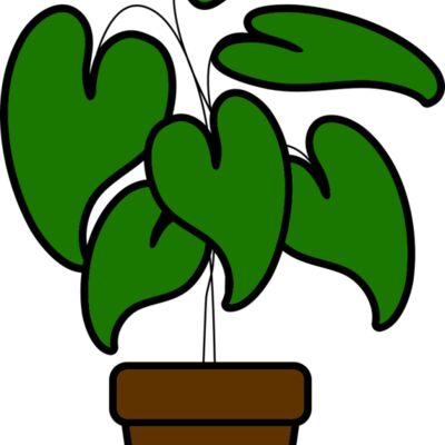 Plant Thumbnail
